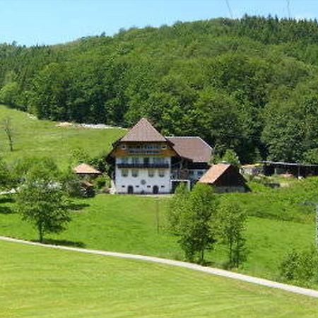 Heizmannshof Apartment Hofstetten  Exterior photo