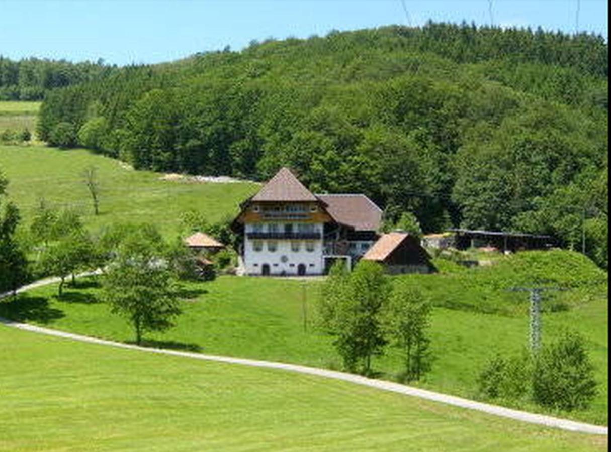 Heizmannshof Apartment Hofstetten  Exterior photo